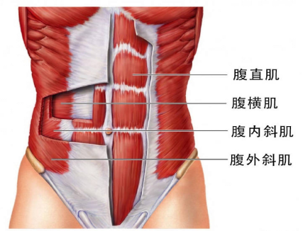 腹直肌分離，它附近的肌肉是什么？