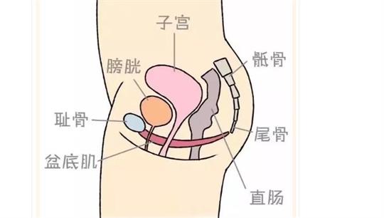 通澤便攜產(chǎn)后康復(fù)治療儀，促進(jìn)產(chǎn)后快速恢復(fù)