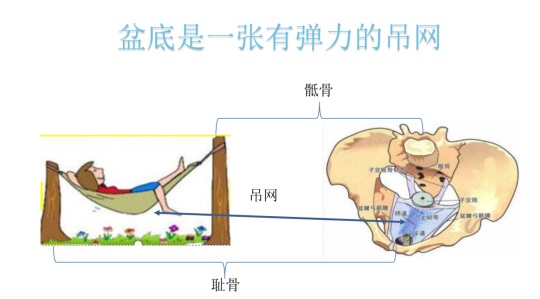 女性盆底康復(fù)要及時(shí)，否則抱憾終身，婦科盆底康復(fù)治療儀幫到您