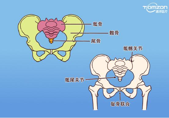 盆底肌康復(fù)儀能不能呵護(hù)健康？