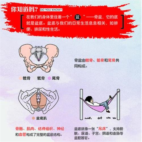 產后盆底肌修復